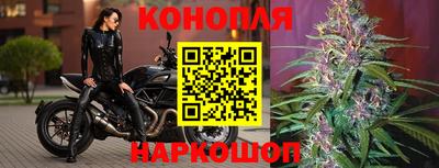 МДПВ Краснознаменск