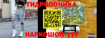 МДПВ Краснознаменск
