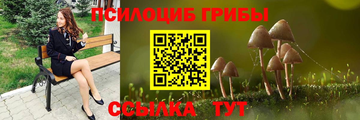 Галлюциногенные грибы Psilocybe  Вход с VPN  Фролово 