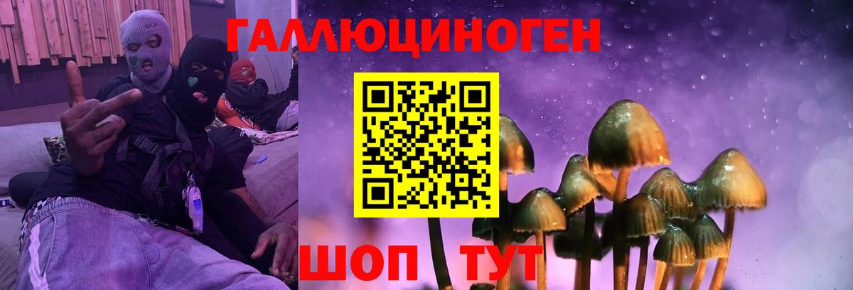 Псилоцибиновые грибы MAGIC MUSHROOMS Фролово